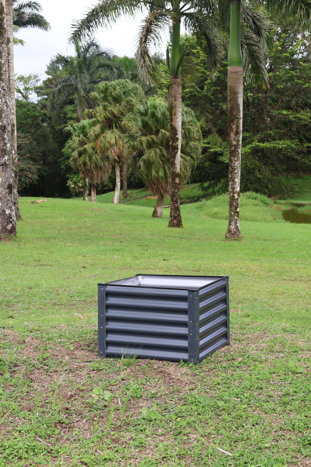 ICHALI COMPACT