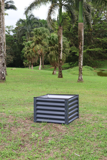 ICHALI COMPACT
